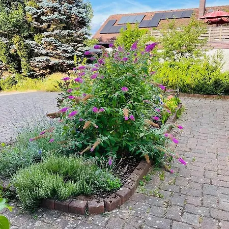 Am Almesbach Weiden *